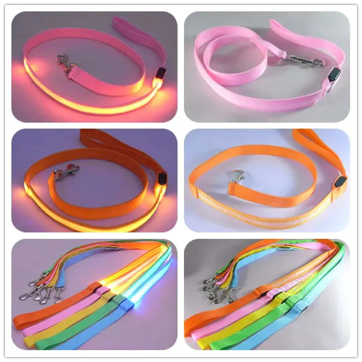 LED Dog Rainbow Leash Rope