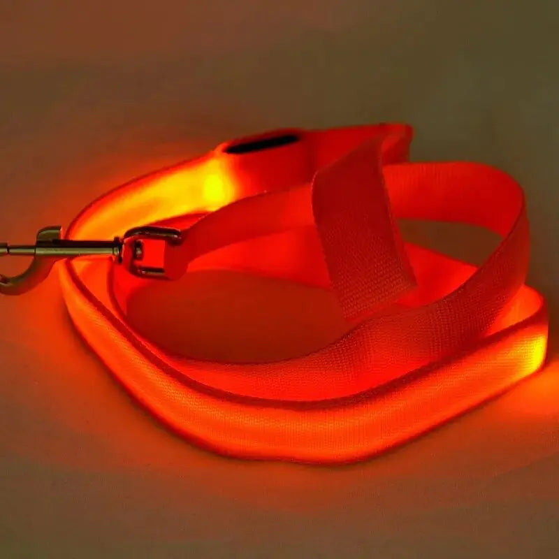 LED Dog Rainbow Leash Rope