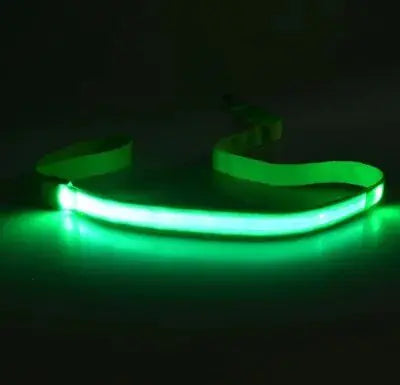 LED Dog Rainbow Leash Rope