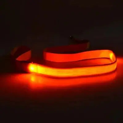 LED Dog Rainbow Leash Rope