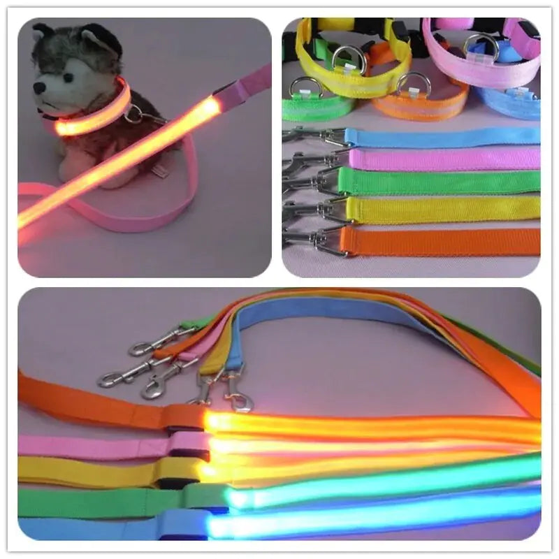 LED Dog Rainbow Leash Rope