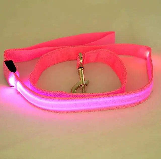 LED Dog Rainbow Leash Rope