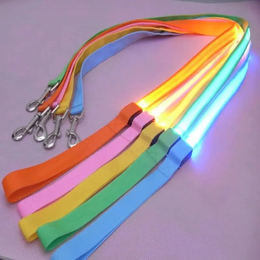 LED Dog Rainbow Leash Rope