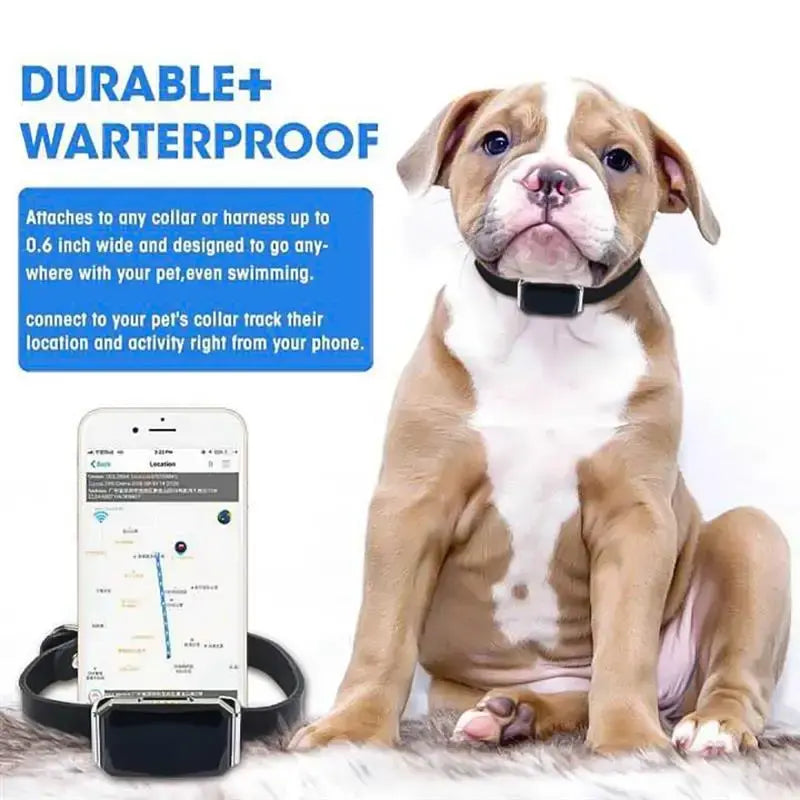 Smart GPS Pet Collar – Waterproof Tracker & Locator for Dogs & Cats