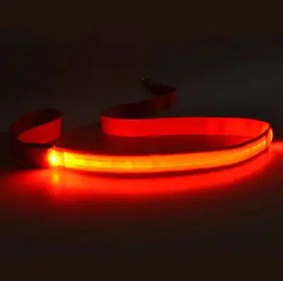 LED Dog Rainbow Leash Rope