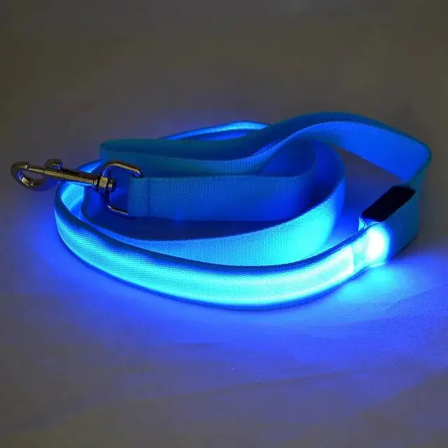 LED Dog Rainbow Leash Rope