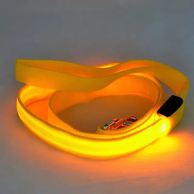 LED Dog Rainbow Leash Rope